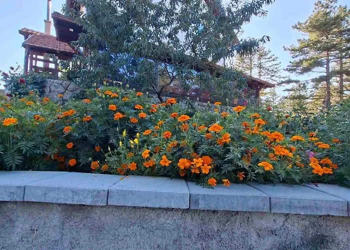 Zlatiborski Kutak Apartament *