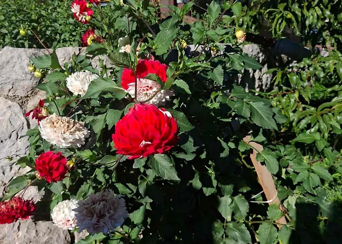 Zlatiborski Kutak Apartment Zlatibor