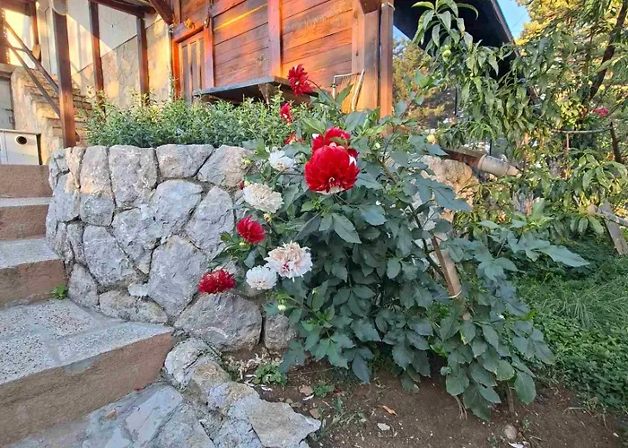 Zlatiborski Kutak Apartment Zlatibor