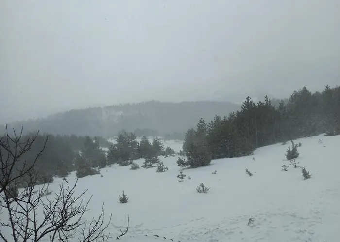 Apartment Zlatiborski Kutak