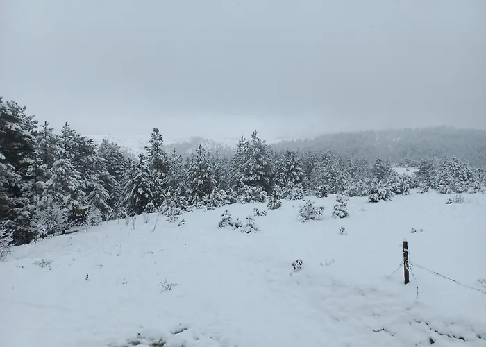 Zlatiborski Kutak Apartment Zlatibor