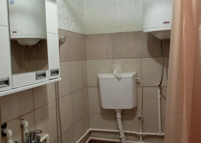 Apartment Zlatiborski Kutak *